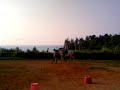 Betsy rides feisty mare \"Pepper\" after hippotherapy, Okinawa