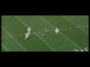 Terry Love Highlights