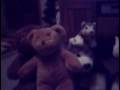 dare to be stupid bild a bear band