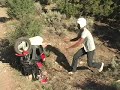 ScootStars - Scooter Death