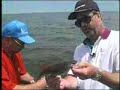 Bottom Fishing Ling on The Fishing Line Rich Johnson Bottom Fishing Ling on The Fishing Line Rich Johnson