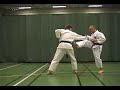 Yakusoku kumite (matsubayashi ryu)