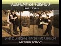 Alchemy of Tui Shou Alchemy of Tui Shou