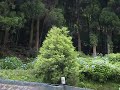 DSCN0576