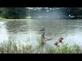 Bamboo Spey rods casting.mov