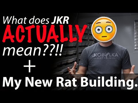 YouTube reptile video