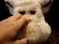 Bipolar Furby