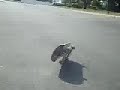 ghfgh