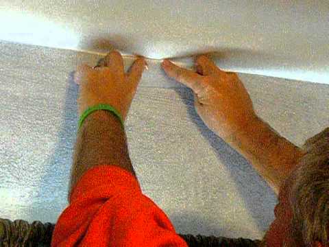 how to get rid of kudzu stink bugs