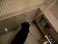 池田屋事件の動画