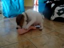 Big foot ;)