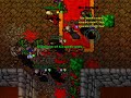 Tibia Orc Fortres Quest Morgana
