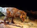 Dinosaures - Bercy - Decembre 2009 - Tyrannosaurus rex - la Comète