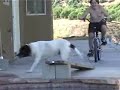 Bike meets pool extraviganza Bike meets pool extraviganza