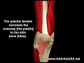 Dr Farshchian s Regenerative Medicine and  jumper\