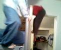 Spider-Haz Spider-Haz