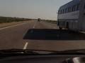 videos de rowdy roadies