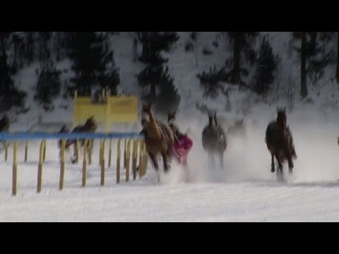horse racing horse racing
