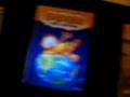 My Looney Tunes DVD Sets and Garfield DVD's.