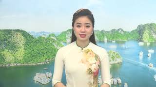 Truyền hình Hạ Long ngày 2-8-2021