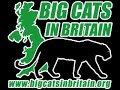 Big Cats in Britain Conference 2008: Saturday - Darren Naish