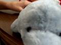 videos de brains and skill
