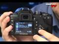 Olympus EVOLT E-510 with 14-42mm & 40-150mm Lens