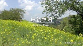 千葉縣母親牧場