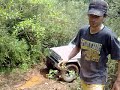 Tilha da melancia - BH - MG