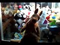 Click here to watch this video rooroo 1.mp4