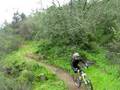 En el Coladero IV (silverbikers)