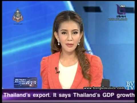 รายการ ถอดสลักข่าว 20 พ.ค. 2556-สถานการณ์ไข้เลือดออก