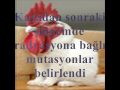 �ernobil