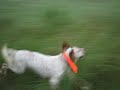 Feald Training