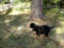 Turo outdoors ~2months