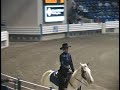 jazz and dazzle5