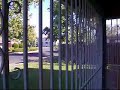 we have two ice cream trucks and a bike ice cream man that comes around a few times a day! they don't have mario pops though :(  i think its strange that the ice cream man plays la cucaracha!!!