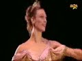 Sylvia-royal
