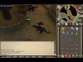 RuneScape - Firetail345 - Black Dragons1 RuneScape - Firetail345 - Black Dragons1