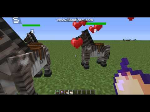 how to tame a zebra in minecraft