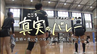 動画のサムネイル