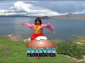 CLAVELINA DE LOS ANDES
