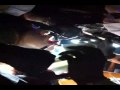 【公開施術】Tongue Splitting -1【スプリットタン】