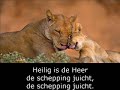 opwekking 586 - heel de schepping geeft U eer opwekking 586 - heel de schepping geeft U eer