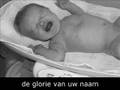opwekking 586 - heel de schepping geeft U eer
