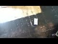 Live Chocolate (breaking News)