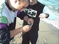 domenico pesca 2 orate surf casting domenico pesca 2 orate surf casting