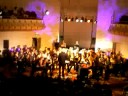Zebra live @ LILLE + fanfare (2)