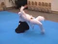Aikido students of Doshu Moriteru Ueshiba - Michal ?idlický Aikido students of Doshu Moriteru Ueshiba - Michal ?idlický