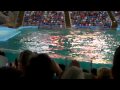 SeaWorld San Antonio Shamu Theater part 3